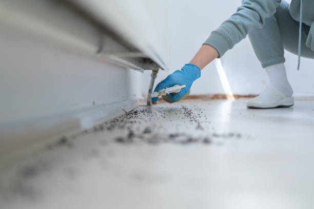 Best Commercial Pest Control Services  in Narberth, PA