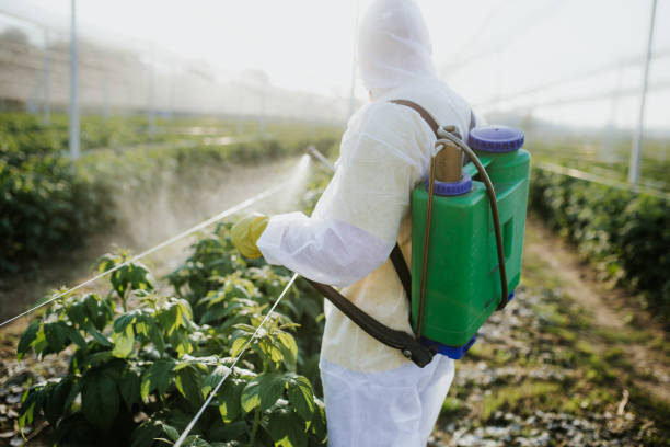 Best Local Pest Control Services  in Narberth, PA